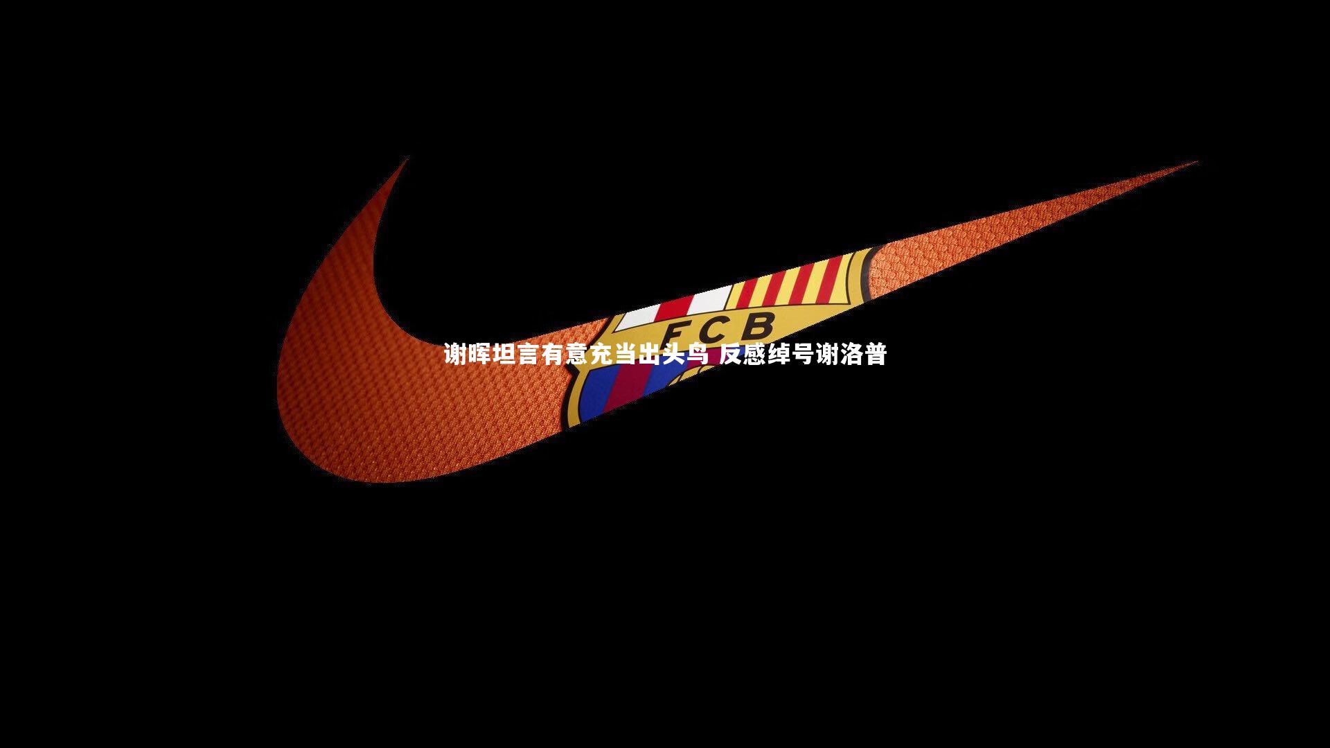 九游体育：谢晖坦言有意充当出头鸟 反感绰号谢洛普