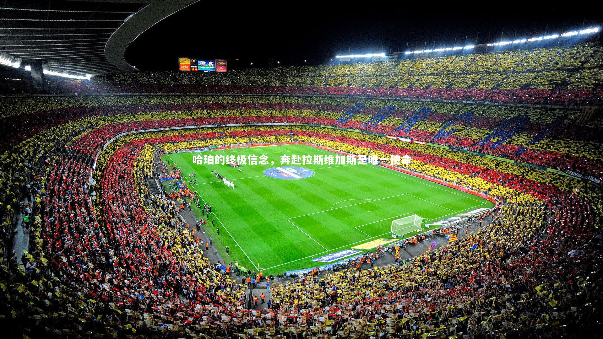 哈珀的终极信念，奔赴拉斯维加斯是唯一使命