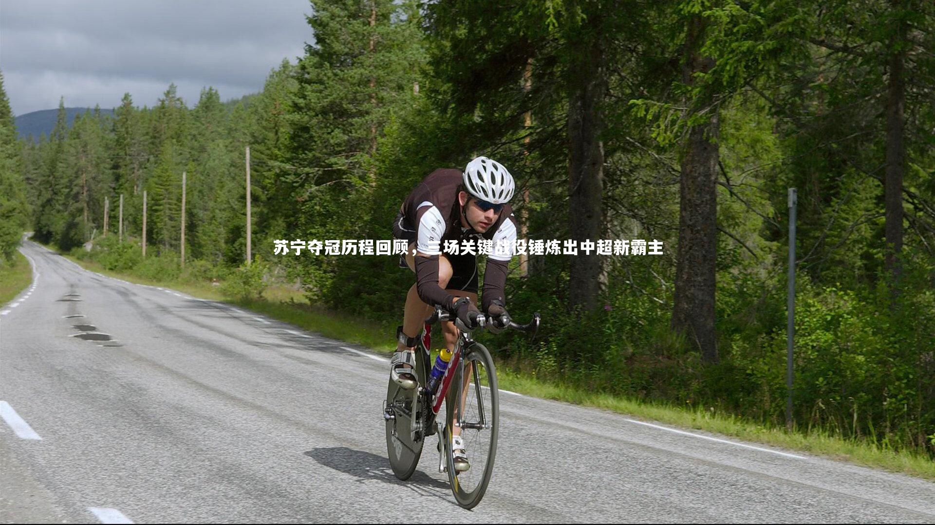 苏宁夺冠历程回顾,三场关键战役锤炼出中超新霸主